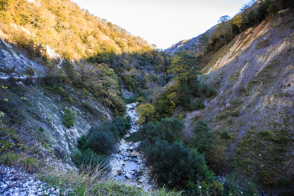 Merkheuli